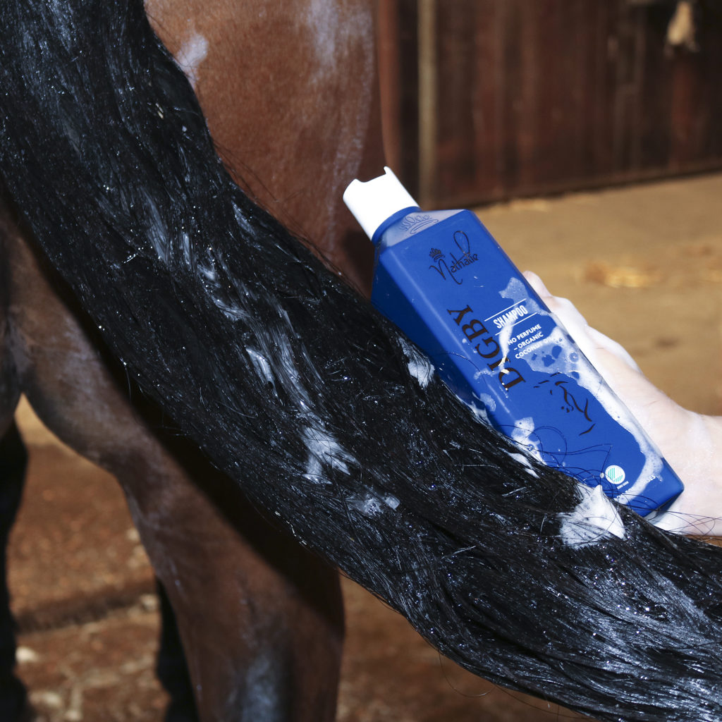Digby-shampoo-1024x1024